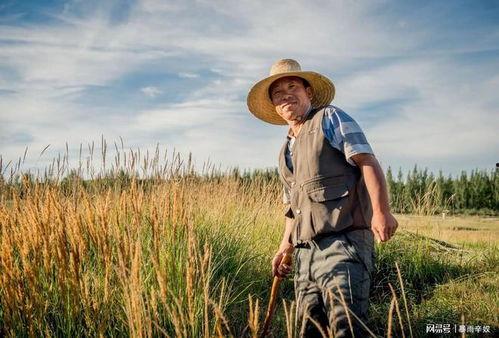 国产农民视频,国产农民生活画卷