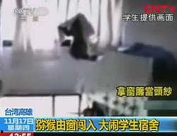 国产学生视频三区,青春校园的青春旋律