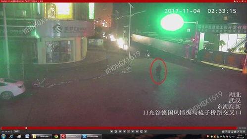 国产学生视频三区,青春校园的青春旋律