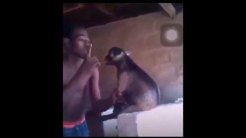 国产醉酒视频搞笑版下载,笑料横生，下载狂欢