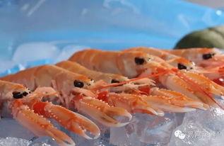 国产海螯虾测评视频大全  第2张