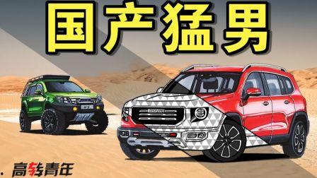国产车80码视频,速度与激情下的国产车风采  第3张
